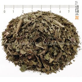 broadleaf plantain, plantain leaf, plantago major, plantain tea for eczema, sore throat