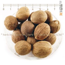 nutmeg herb, indian, nutmeg, whole nut, myristica fragrans, nutmeg price