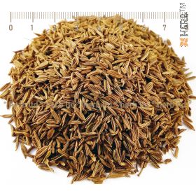 Caraway spice, Caraway spice price, Caraway tea, Caraway useful properties, Caraway recipes