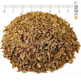 fennel seed, anethum graveolens, fennel seed treatment, fennel seed benefits