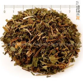 urban enchantress, enchantment for inflammation and bleeding gums, urban enchantress herb, rabbit step, urban enchantress stalk, rabbit step price