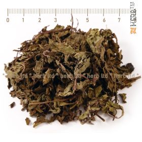 orthosyphon herb, kidney tea, java tea, Orthosiphon stamineus, Lamiaceae