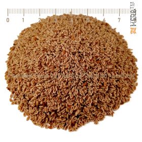 Psyllium husk, Psyllium husk for liver, Psyllium seed tea, Psyllium seed tea price