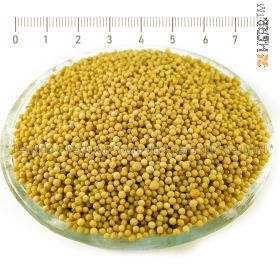 mustard white seed, sinapis alba, mustard seed application