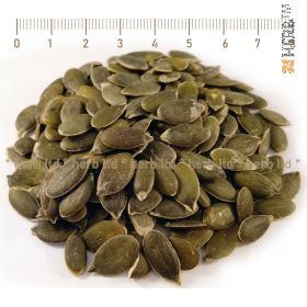 pumpkin seed, peeled pumpkin seed, bulk pumpkin seed, Cucurbita rero, pumpkin seed price, pumpkin seed application