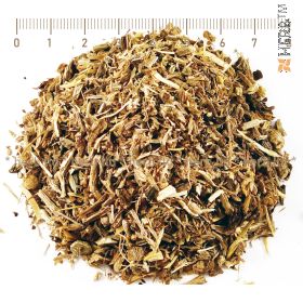 angelica herb, angelica herb price, chinese angelica reviews