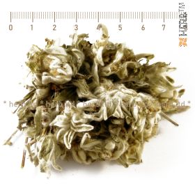 edelweiss herb, mountain edelweiss, edelweiss healing properties, edelweiss herb price