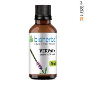 tincture vervain, vervain, verbena officinalis