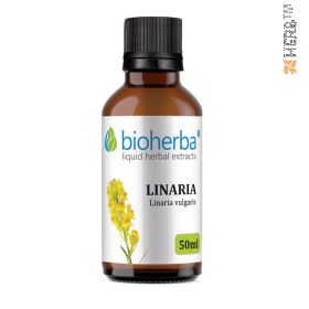 LINARIA, Linaria vulgaris, Bioherba, LIQUID, HERBAL, EXTRACT, diuretic