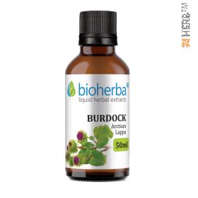 burdock tincture, great burdock