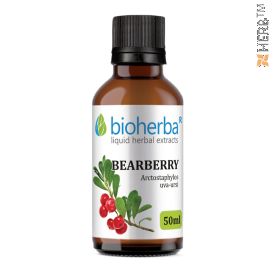 bearberry, tincture, cystitis