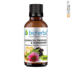 echinacea, propolis, elderberry, tincture, immune system