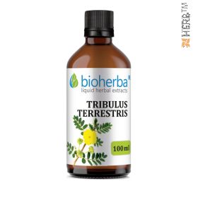 Tribulus terrestris, Tribulus terrestris tincture