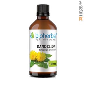 Dandelion root tincture