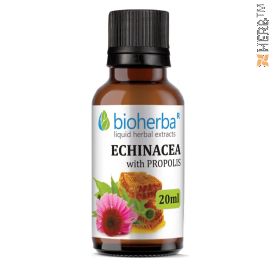 tincture, echinacea, tincture echinacea, echinacea tincture, 20ml, cold, flu, colds, natural product, price, prices