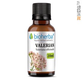 Valerian, tincture, Valeriana officinalis, herbal extract, nervous system, neurosis, stress, palpitations, insomnia, hysteria