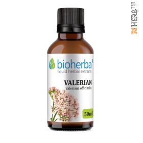 Valerian, tincture, Valeriana officinalis, herbal extract, nervous system, neurosis, stress, hypertension, insomnia, cramps