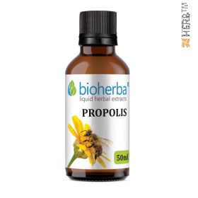 Propolis, tincture, propolis, herbal extract, propolis extract, immunity, immune system, viruses, bacteria, infections