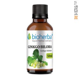 Ginkgo Biloba, tincture, Ginkgo bilobae, herbal extract, brain, dew, memory, varicose veins, hemorrhoids