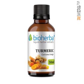 Turmeric, tincture, Curcuma longa, herbal extract, digestion, stomach, weight loss, bile, endocrine system