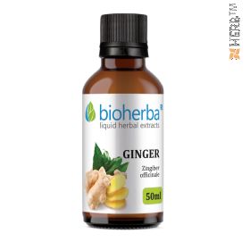 Ginger, tincture, herbal extract, immunity, digestion, energy