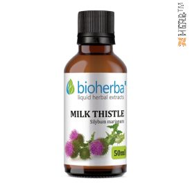 milk thistle, milk thistle tincture, herb milk thistle