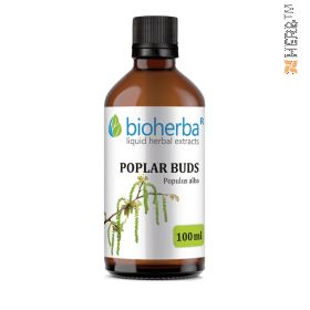 Poplar buds, tincture, Populus Alba, herbal extract, bones, joints, musculoskeletal system