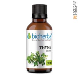 Thyme, tincture, respiratory tract, herbal extract, respiratory tract, bronchitis, pneumonia, cough, infection, stomach