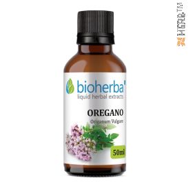 Oregano, tincture, Origanum Vulgare, herbal extract, cough, bronchitis, cramps, stomach