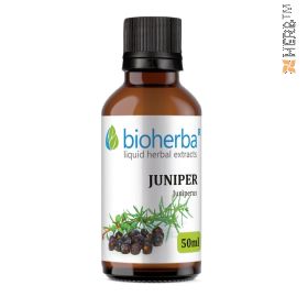 Juniper, tincture, Juniperus, herbal extract, diuretic, anti-inflammatory, antispasmodic