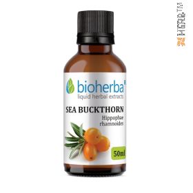 Sea buckthorn, tincture, Hippophae rhamnoides, herbal extract, immunity, antioxidant, health, digestion, skin, ulcer