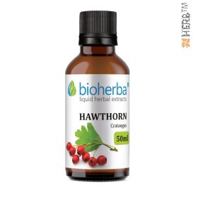 Hawthorn, tincture, Crataegus, herbal extract, heart rate, pulse, sedation