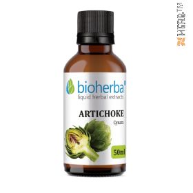 Artichoke, tincture, Cynara cardunculus, herbal extract, bile, liver, kidneys, stomach