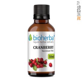 cranberry, tincture, Vaccinium Vitis, herbal extract, genitourinary system, cystitis,