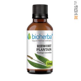 narrow-leaved plantain, tincture, ribwort plantain, narrow-leaved plantain, herbal extract, digestion, bile, stomach, intestinal flora