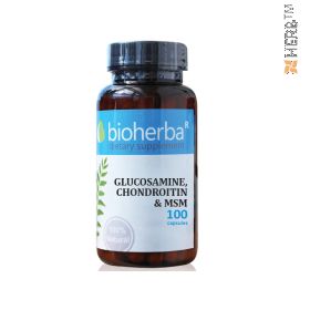 glucosamine, chondroitin,msm,глюкозамин