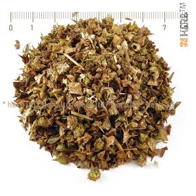 Tribulus terrestris herb, potency, sexual power, libido, Tribulus berries